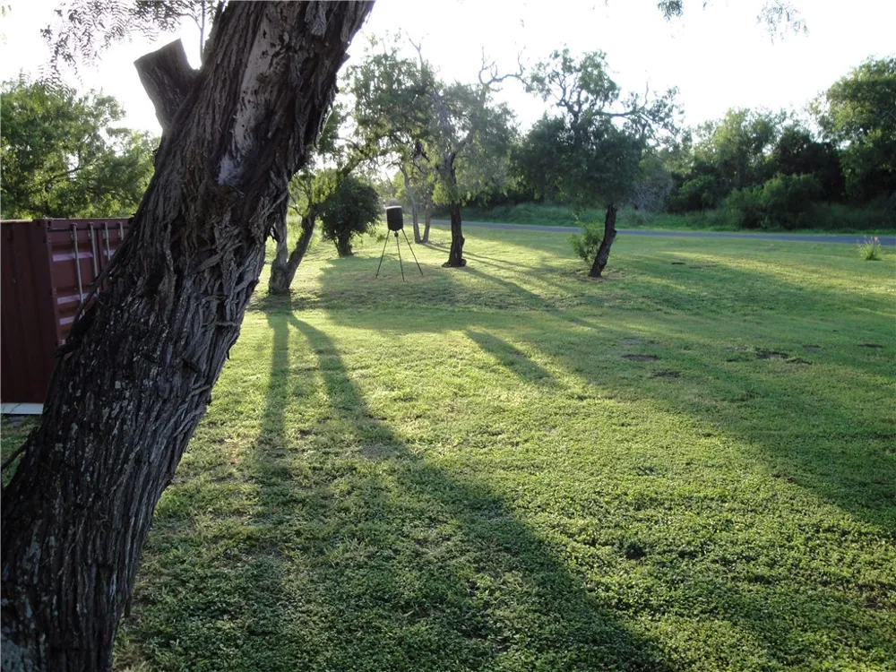 315 S Vista Drive S Sandia, TX 78383