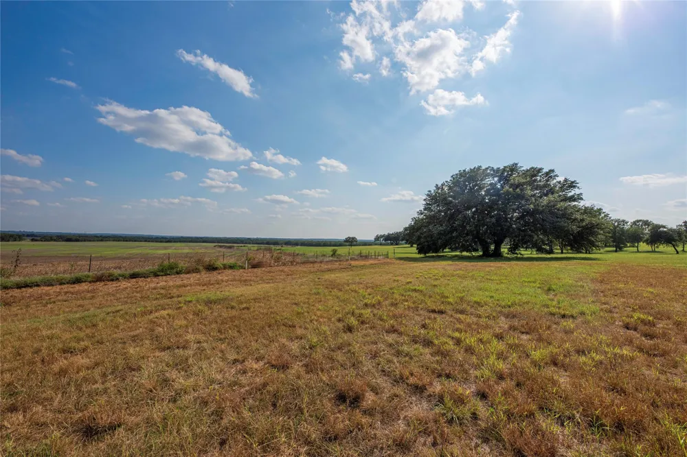 11157 State Highway 36 Jonesboro, TX 76538