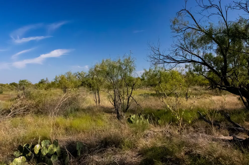 County Road 242 Clyde, TX 79510