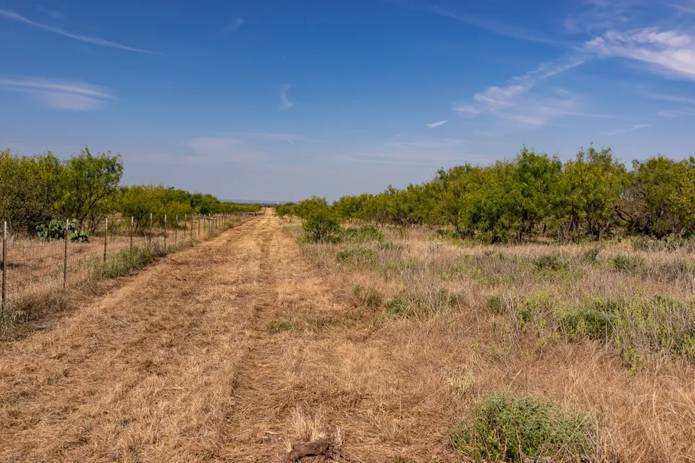 County Road 242 Clyde, TX 79510