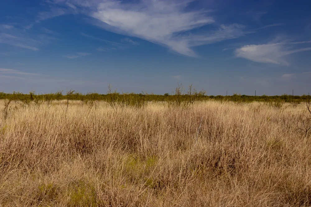 County Road 242 Clyde, TX 79510