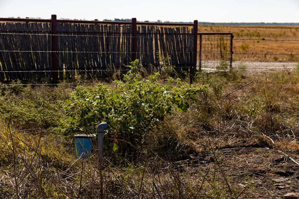 County Road 242 Clyde, TX 79510