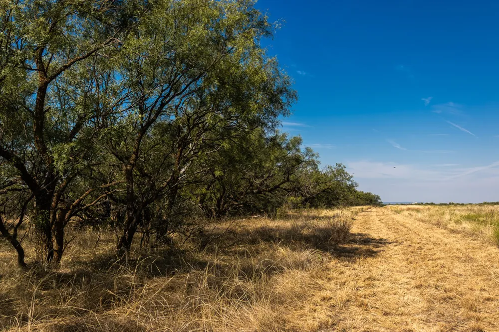 County Road 242 Clyde, TX 79510