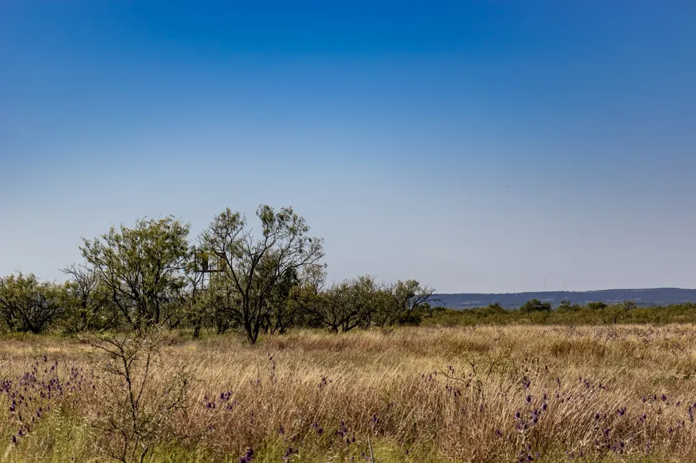 County Road 242 Clyde, TX 79510