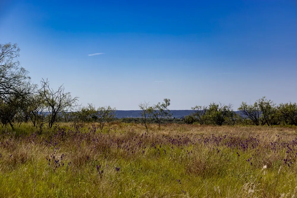County Road 242 Clyde, TX 79510