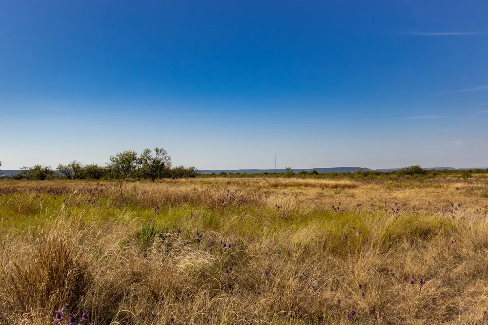 County Road 242 Clyde, TX 79510