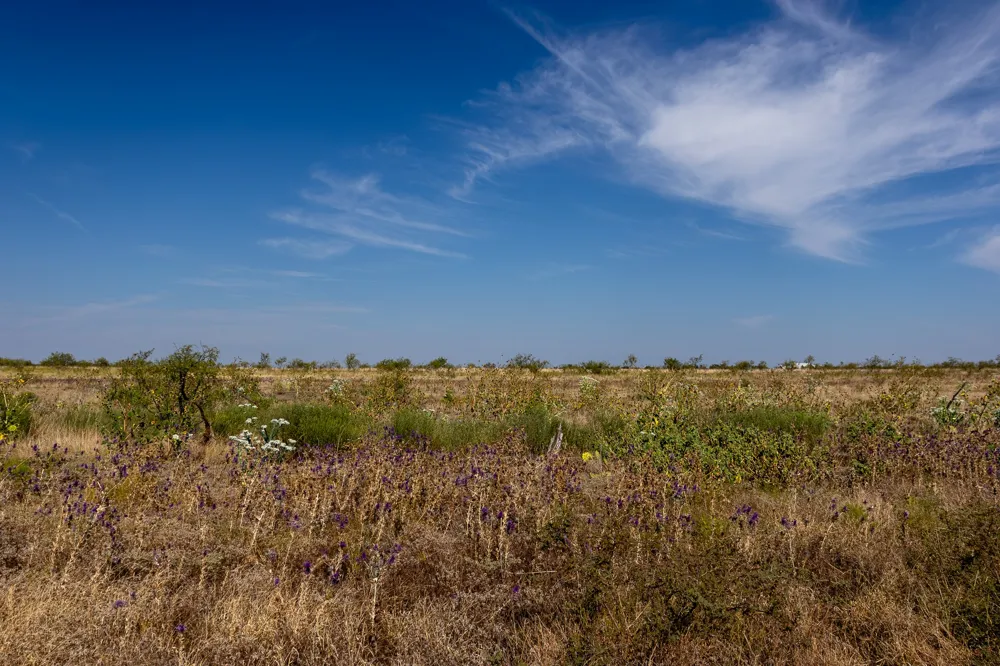 County Road 242 Clyde, TX 79510