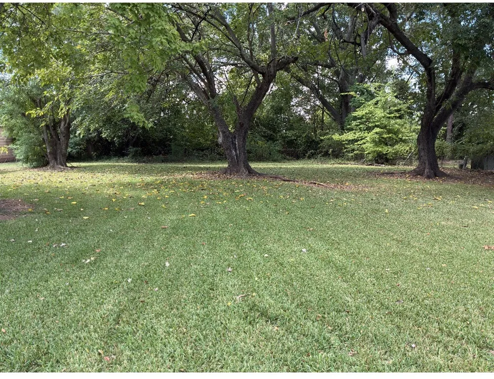 7306 Camelback Drive Shreveport, LA 71105