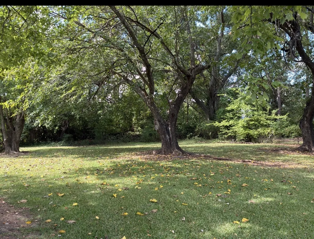 7306 Camelback Drive Shreveport, LA 71105