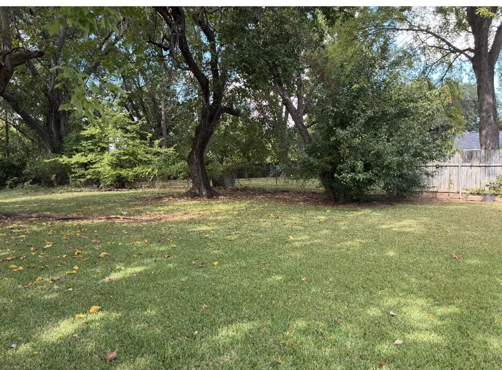 7306 Camelback Drive Shreveport, LA 71105