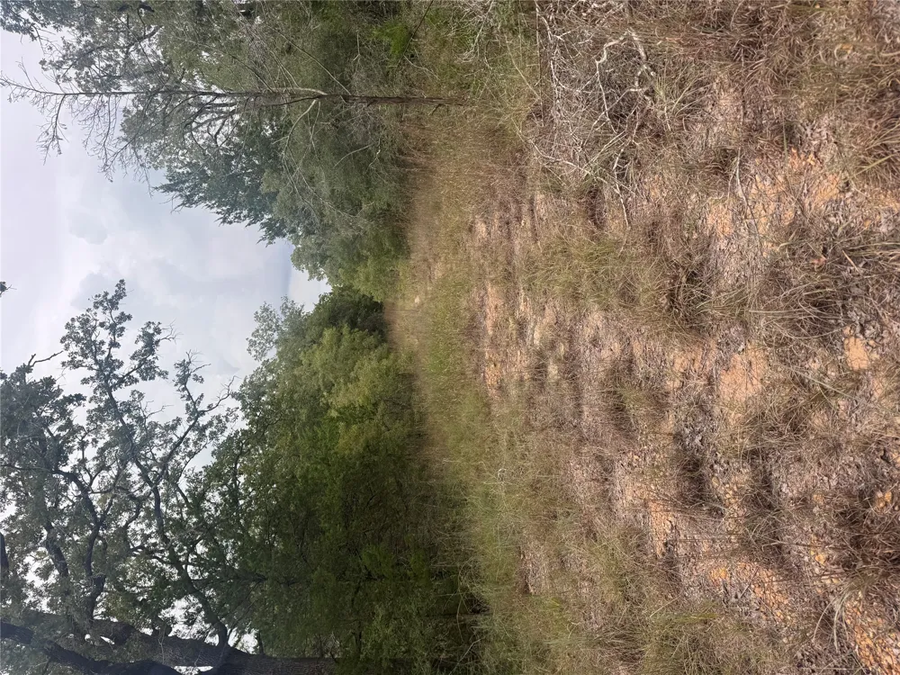 6 Spruce Street Paige, TX 78659