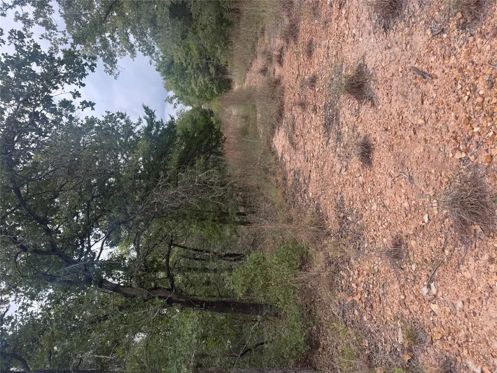 6 Spruce Street Paige, TX 78659