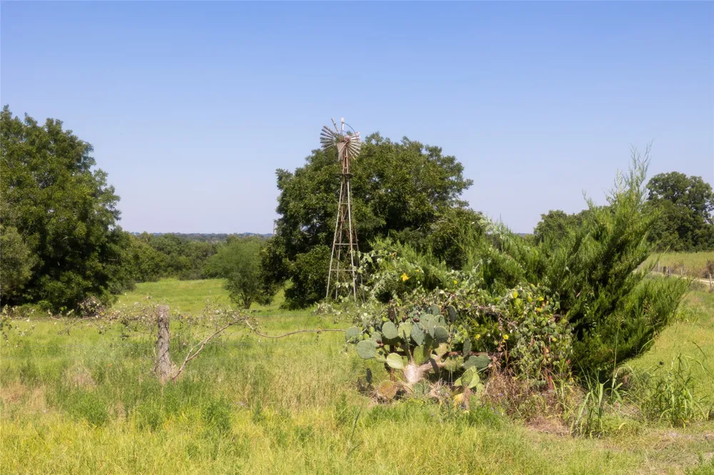 3225 Terrier Hill Lane Brenham, TX 77833