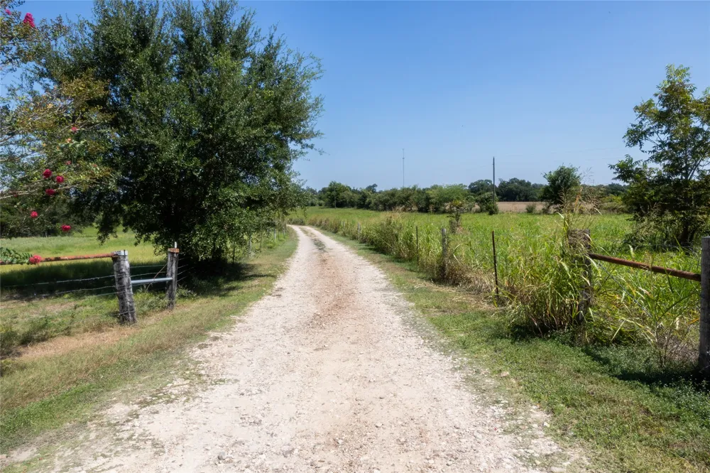 3225 Terrier Hill Lane Brenham, TX 77833