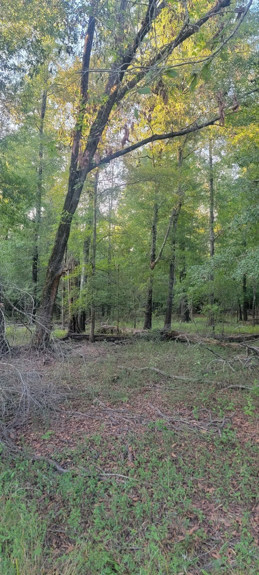 FM 2517 Carthage, TX 75633