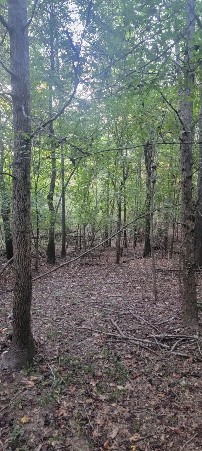 FM 2517 Carthage, TX 75633