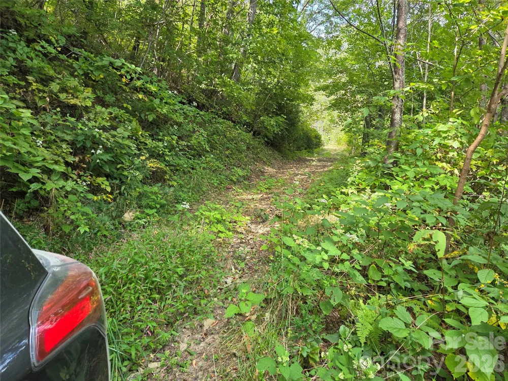 720 Autumn Drive Maggie Valley, NC 28751