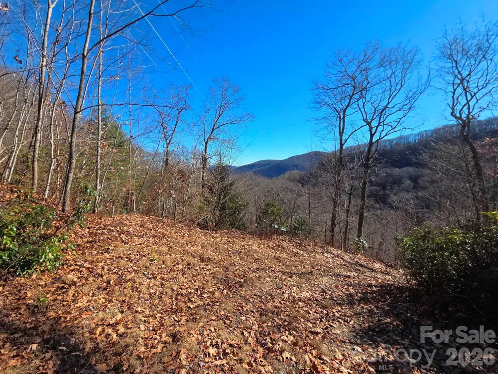720 Autumn Drive Maggie Valley, NC 28751