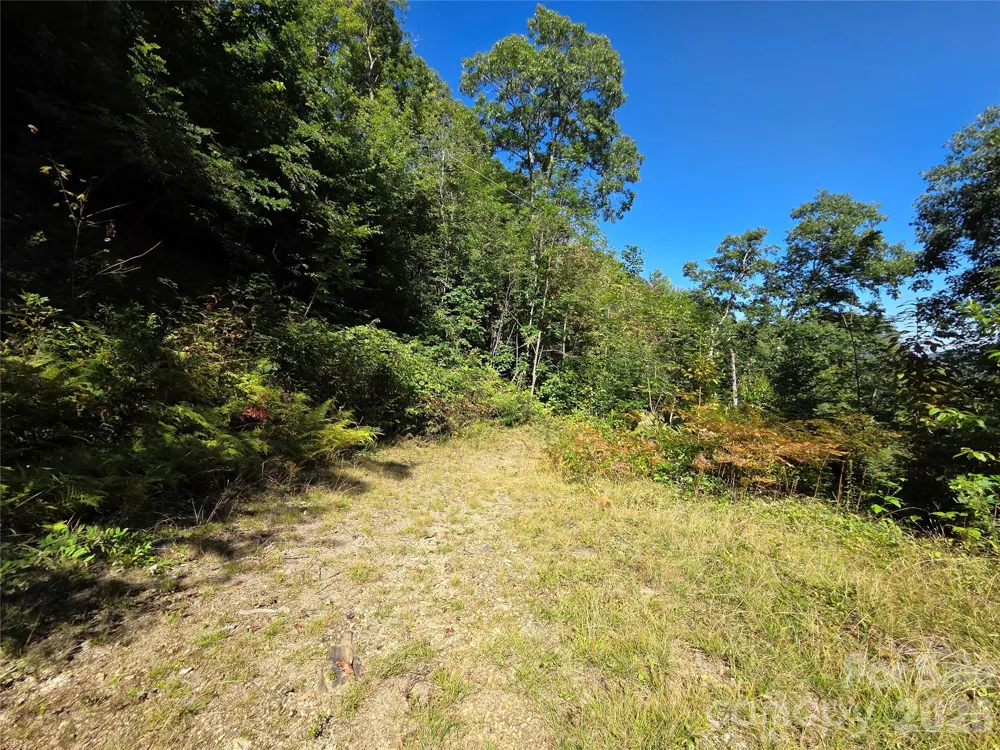 720 Autumn Drive Maggie Valley, NC 28751