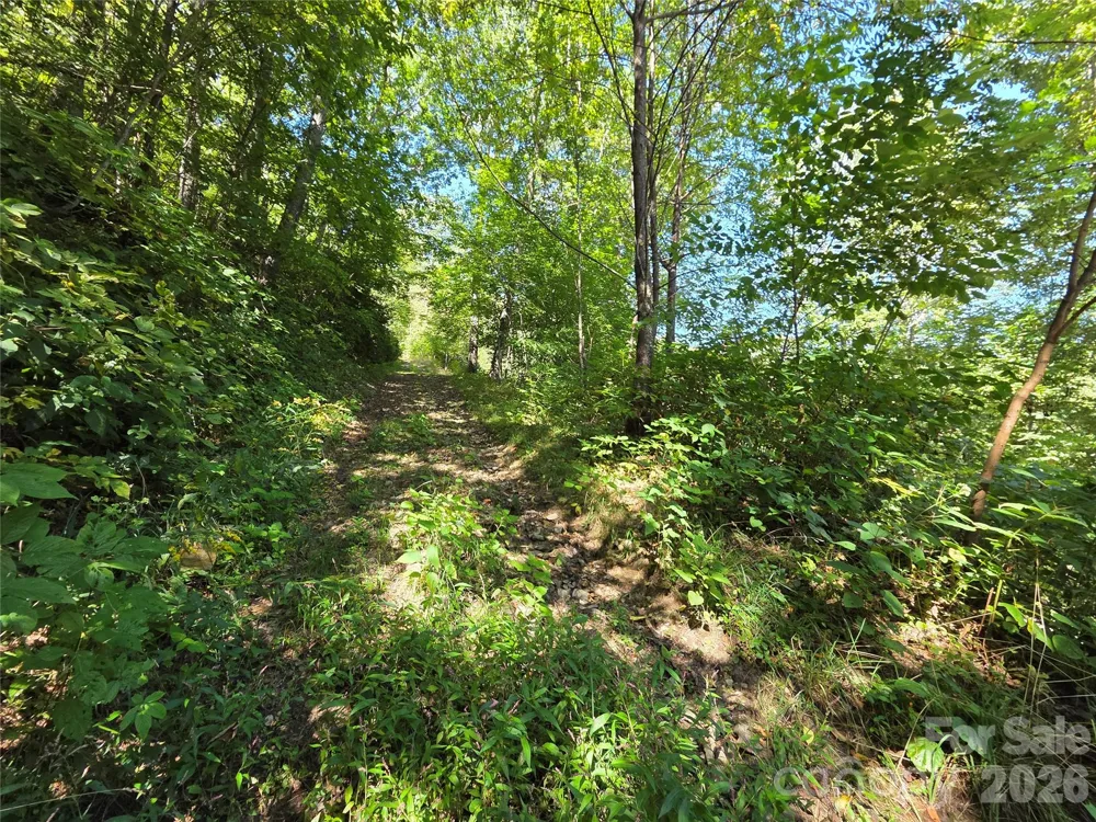 720 Autumn Drive Maggie Valley, NC 28751
