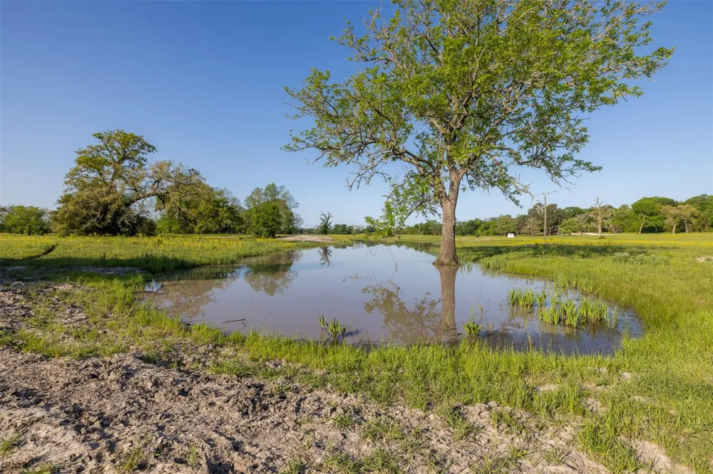 Clear Lake Road Bryan, TX 77808