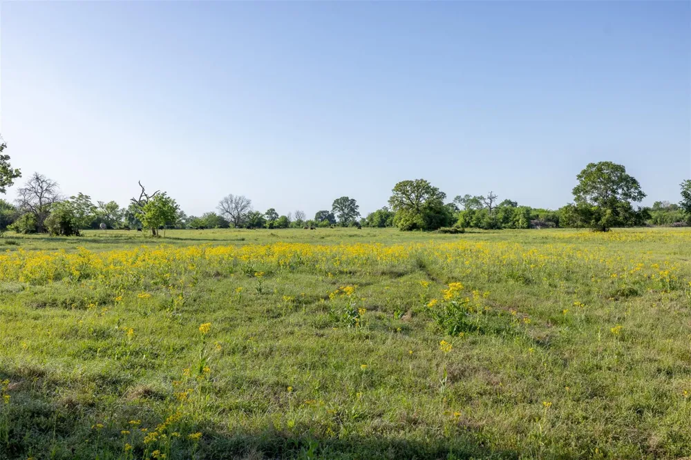 Clear Lake Road Bryan, TX 77808