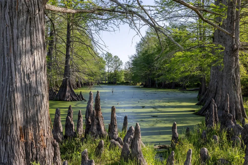 Clear Lake Road Bryan, TX 77808