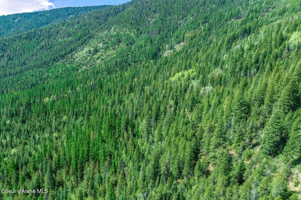 NNA Moyie River Road Bonners Ferry, ID 83805