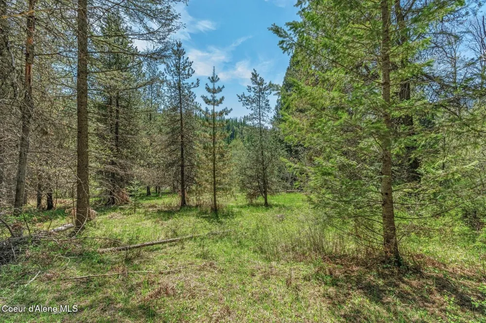 NNA Moyie River Road Bonners Ferry, ID 83805
