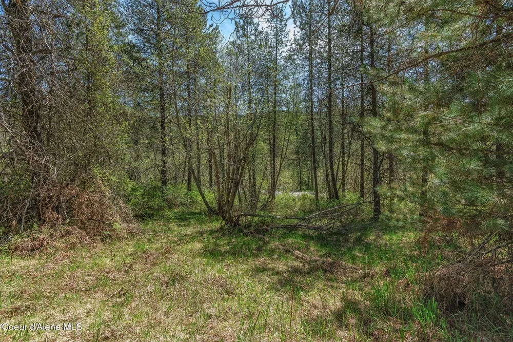 NNA Moyie River Road Bonners Ferry, ID 83805