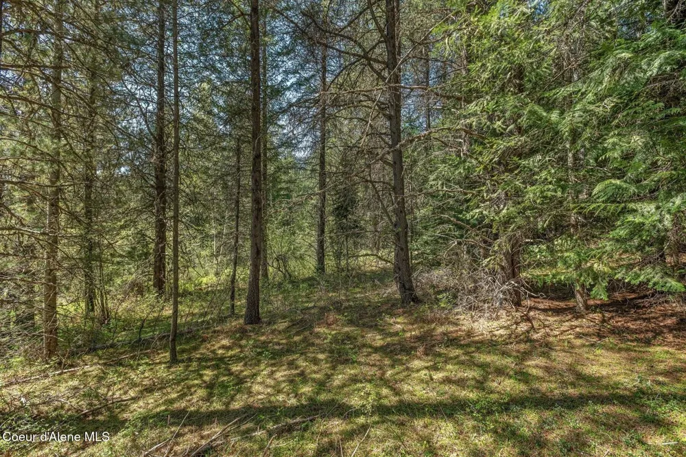 NNA Moyie River Road Bonners Ferry, ID 83805
