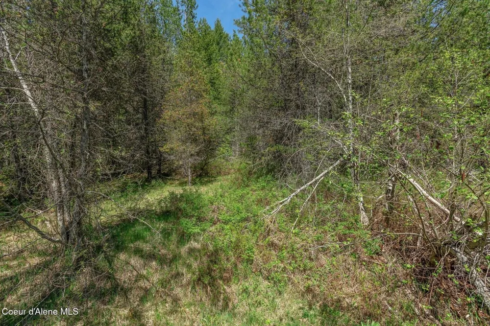 NNA Moyie River Road Bonners Ferry, ID 83805