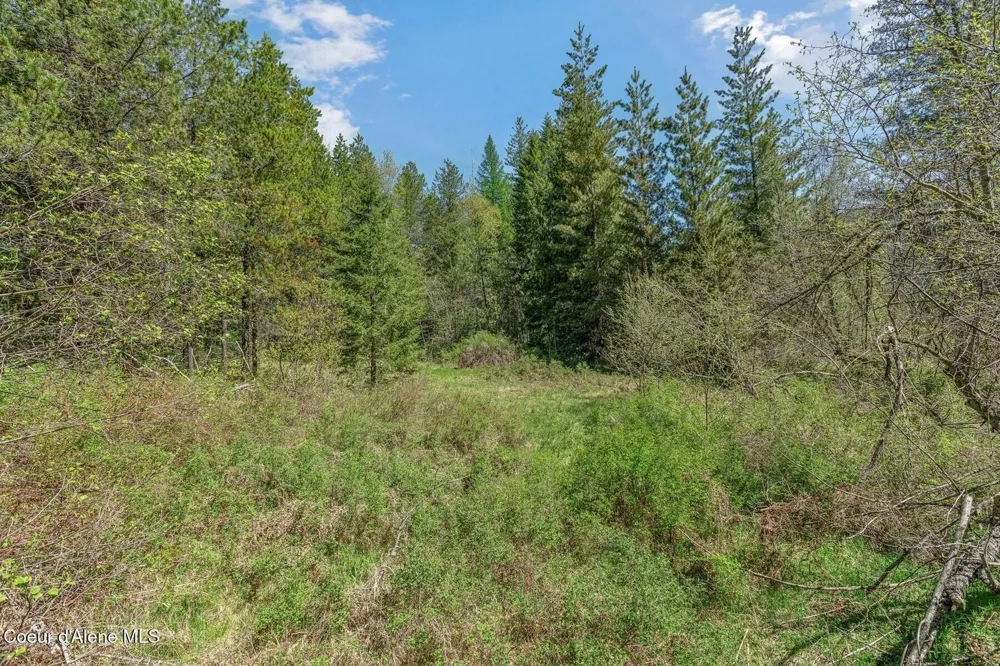 NNA Moyie River Road Bonners Ferry, ID 83805