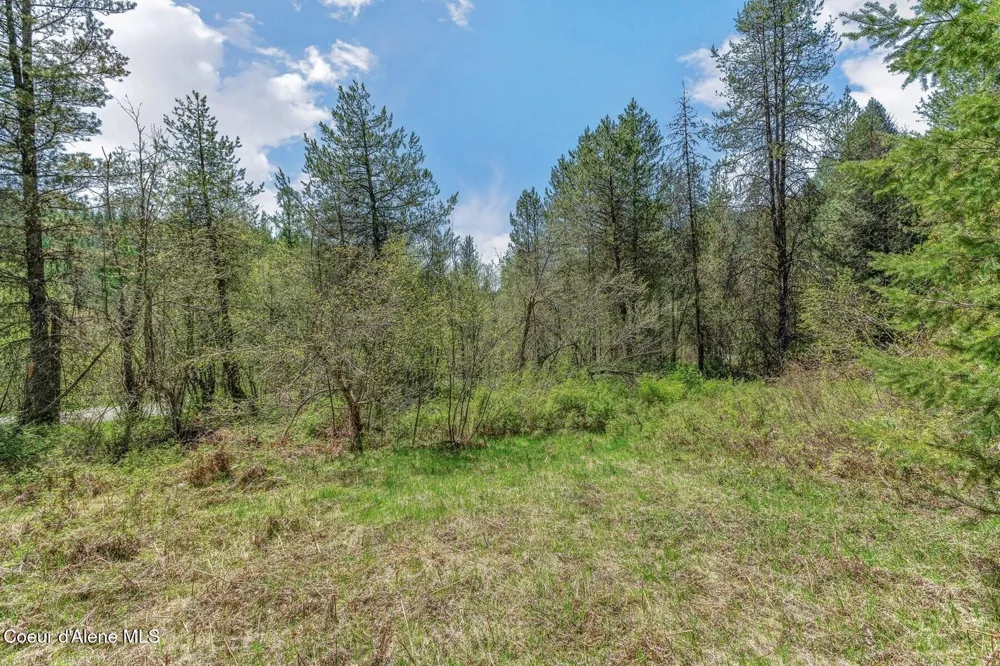 NNA Moyie River Road Bonners Ferry, ID 83805