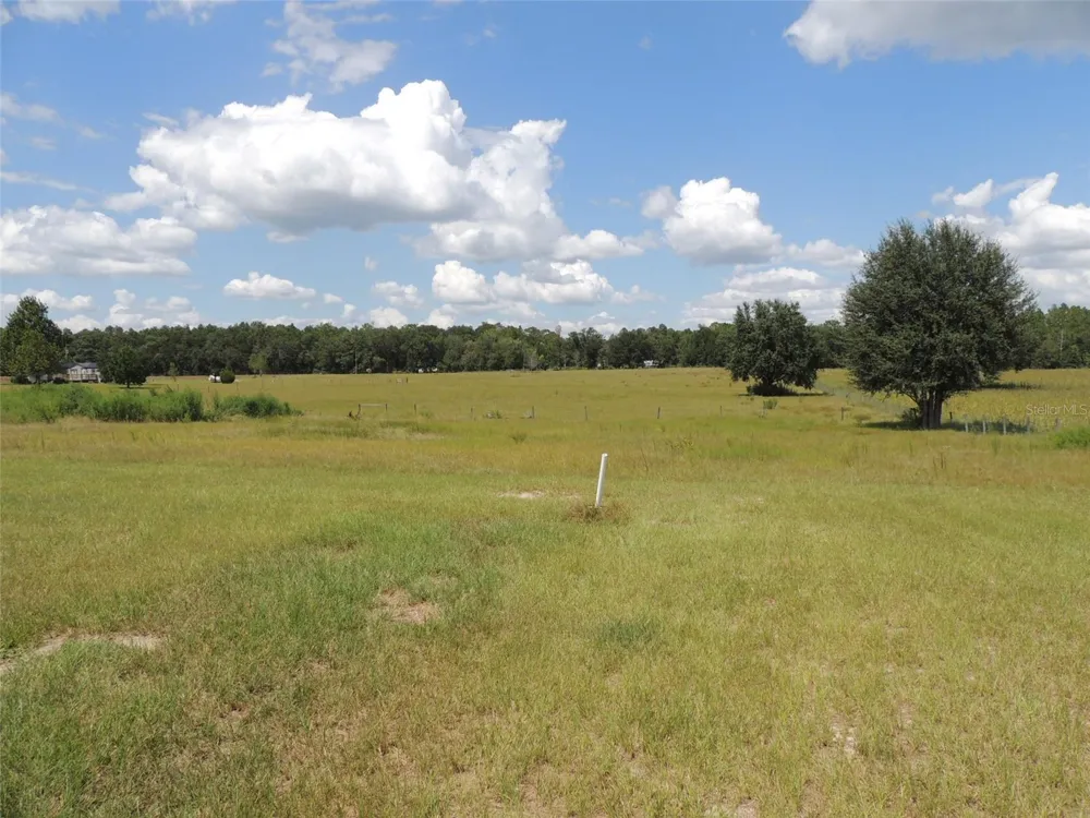 9871 NE 60TH STREET Bronson, FL 32621