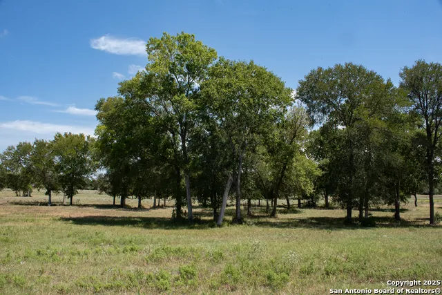 9560 old colony line Dale, TX 78616