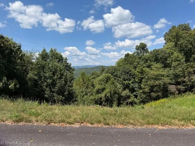 33 Ashe View Drive Millers Creek, NC 28651