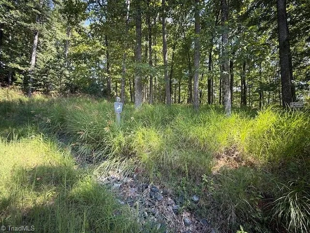33 Ashe View Drive Millers Creek, NC 28651