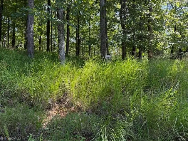 38 Mill Creek Court Millers Creek, NC 28651