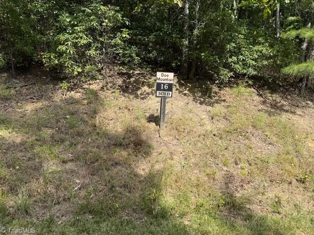 16 Turkey Trail McGrady, NC 28649