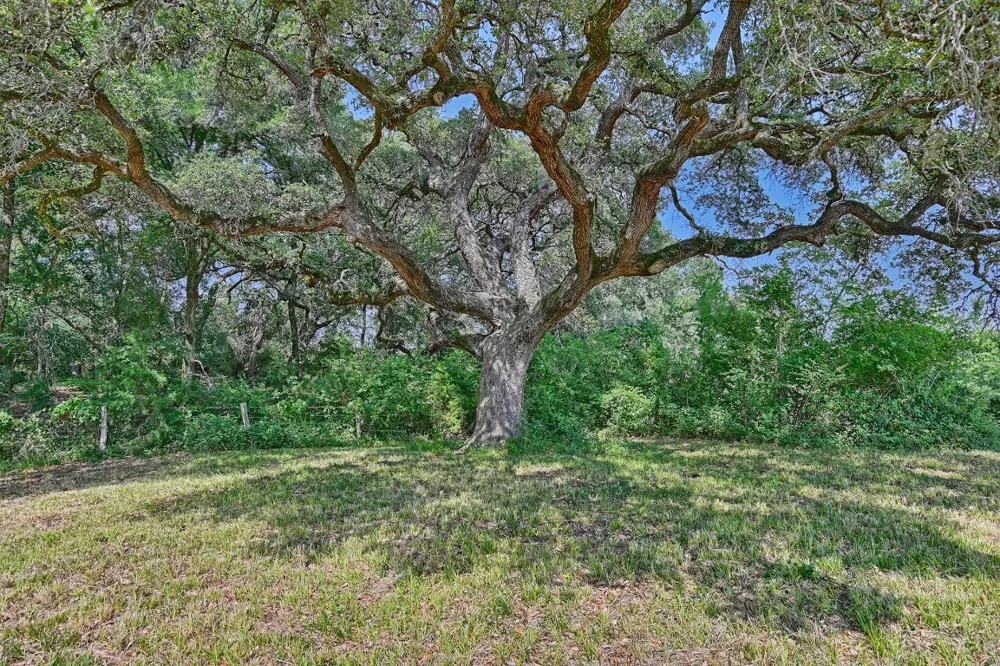 2120 Hohenwalde School Road Brenham, TX 77833