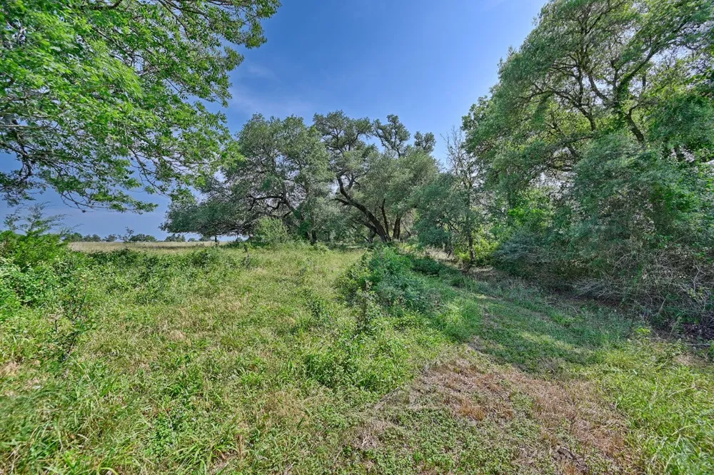 2120 Hohenwalde School Road Brenham, TX 77833