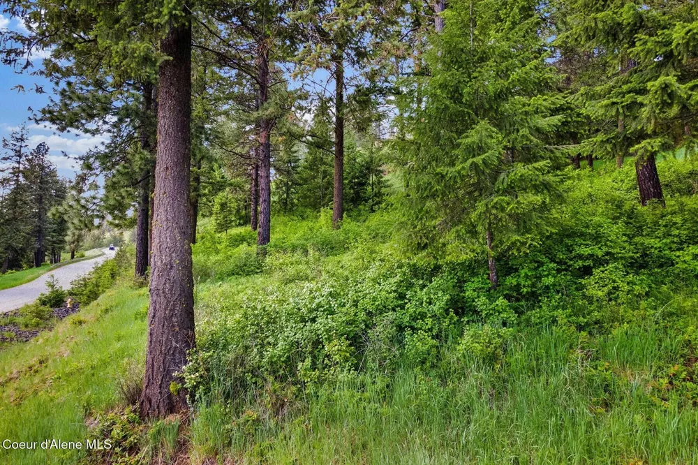Lot 13 Ridge at Sunup Bay Worley, ID 83876