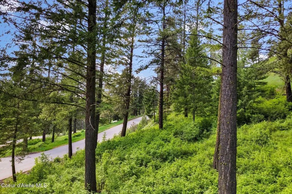 Lot 13 Ridge at Sunup Bay Worley, ID 83876