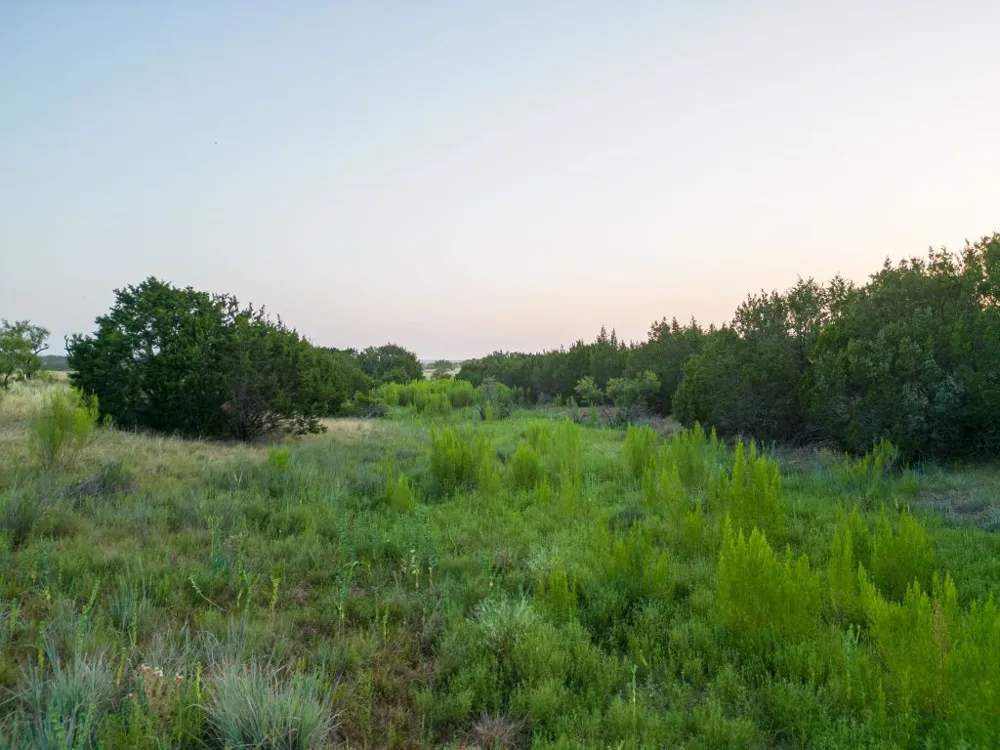 Shin Oak Drive Lampasas, TX 76550