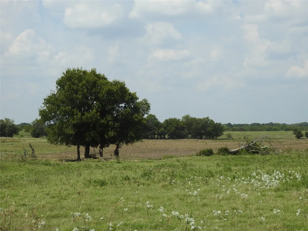 County Road 4040 Ector, TX 75439