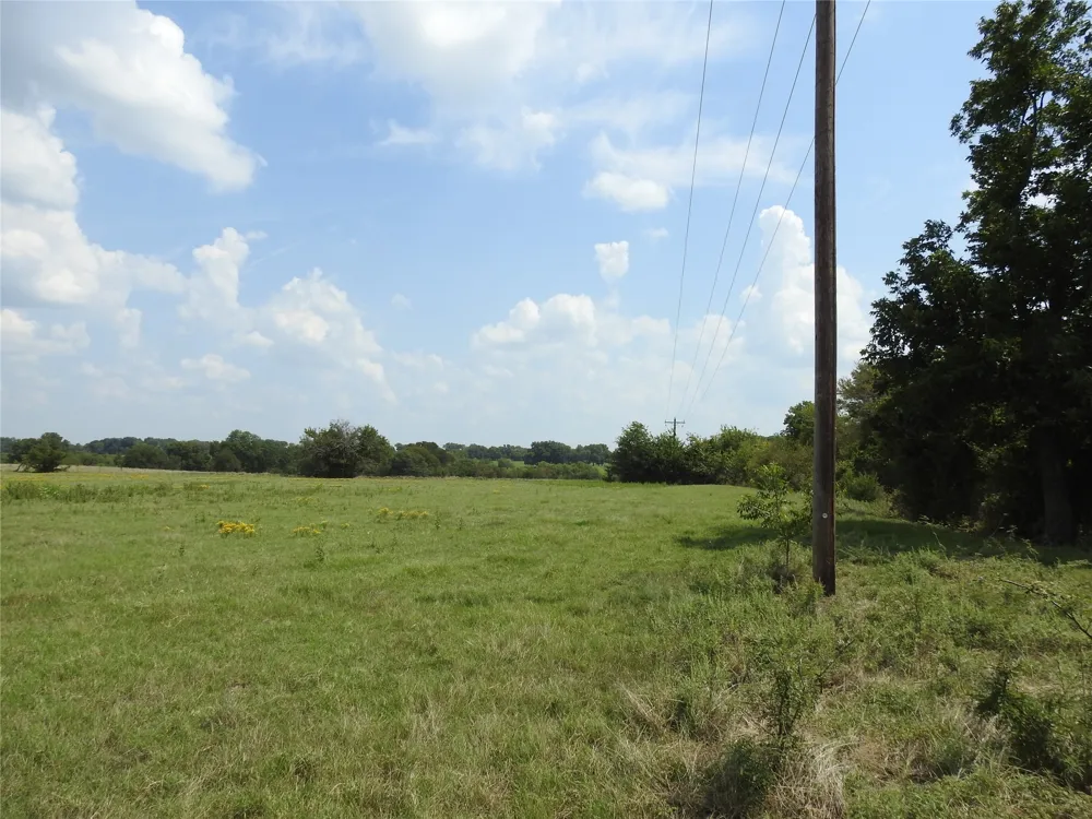 County Road 4040 Ector, TX 75439