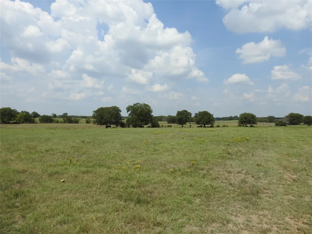 County Road 4040 Ector, TX 75439