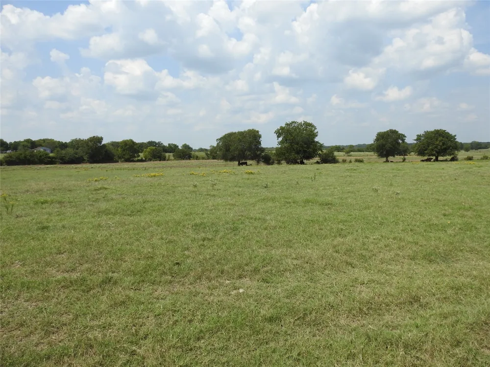 County Road 4040 Ector, TX 75439