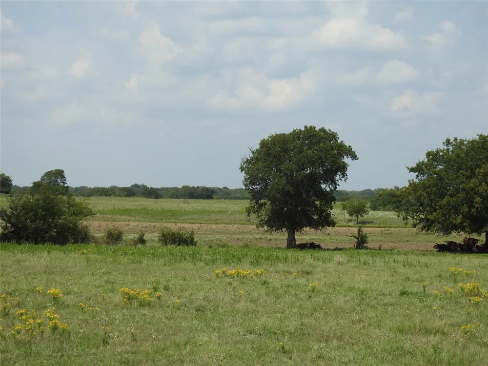 County Road 4040 Ector, TX 75439